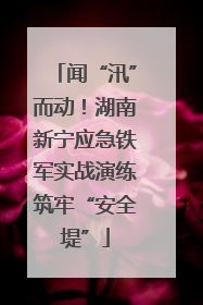 闻“汛”而动！湖南新宁应急铁军实战演练筑牢“安全堤”