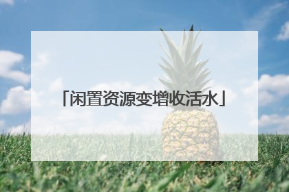 闲置资源变增收活水