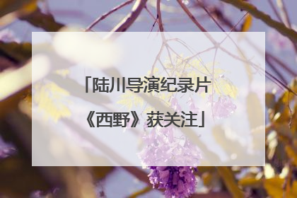 陆川导演纪录片《西野》获关注