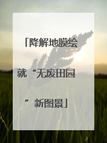 降解地膜绘就“无废田园”新图景