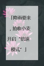 降雨要来，抢收小麦开启“倍速模式”
