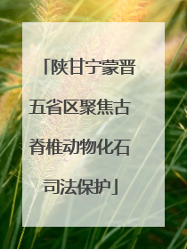 陕甘宁蒙晋五省区聚焦古脊椎动物化石司法保护