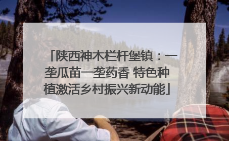 陕西神木栏杆堡镇：一垄瓜苗一垄药香 特色种植激活乡村振兴新动能