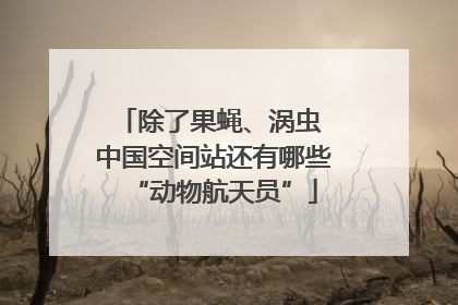 除了果蝇、涡虫 中国空间站还有哪些“动物航天员”