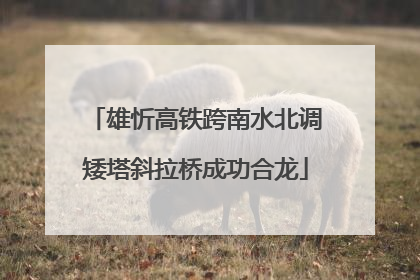 雄忻高铁跨南水北调矮塔斜拉桥成功合龙