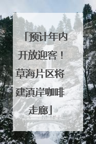 预计年内开放迎客！草海片区将建滇岸咖啡走廊