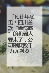 预计年底见！四川首款“懂情感”的机器人要来了，公司刚获数千万元融资