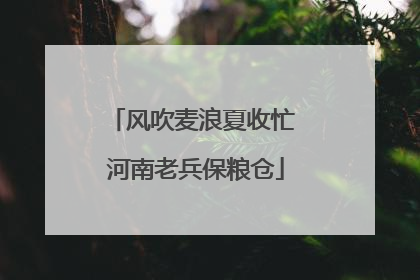 风吹麦浪夏收忙 河南老兵保粮仓