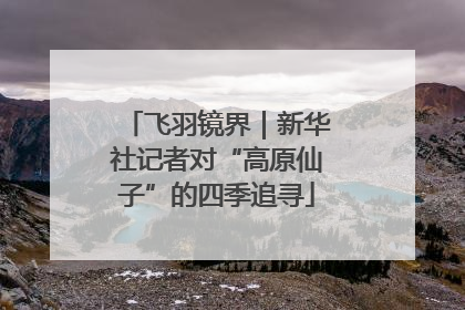 飞羽镜界｜新华社记者对“高原仙子”的四季追寻