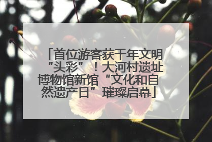 首位游客获千年文明“头彩”！大河村遗址博物馆新馆“文化和自然遗产日”璀璨启幕