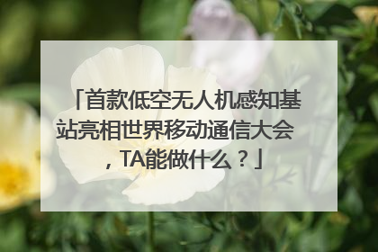 首款低空无人机感知基站亮相世界移动通信大会，TA能做什么？