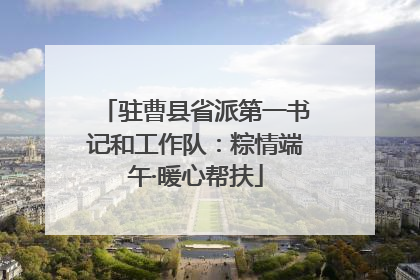 驻曹县省派第一书记和工作队：粽情端午·暖心帮扶