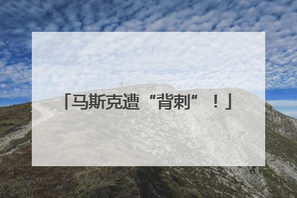 马斯克遭“背刺”！