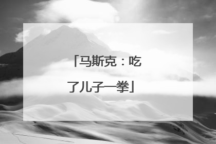 马斯克：吃了儿子一拳
