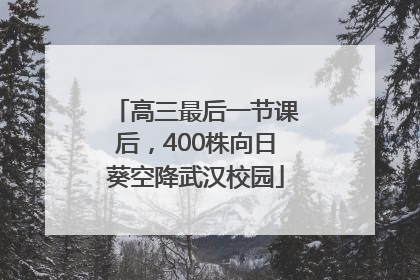 高三最后一节课后，400株向日葵空降武汉校园