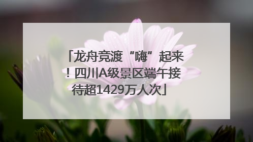 龙舟竞渡“嗨”起来！四川A级景区端午接待超1429万人次