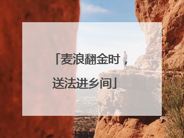 麦浪翻金时，送法进乡间
