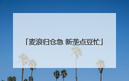 麦浪归仓急 新垄点豆忙
