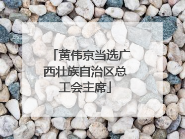 黄伟京当选广西壮族自治区总工会主席