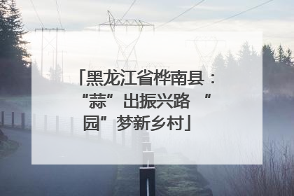 黑龙江省桦南县：“蒜”出振兴路 “园”梦新乡村