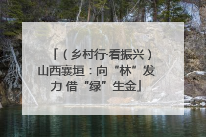 （乡村行·看振兴）山西襄垣：向“林”发力 借“绿”生金