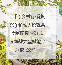 （乡村行·看振兴）新农人绘就共富新图景 浙江庆元统战力量赋能“海拔经济”