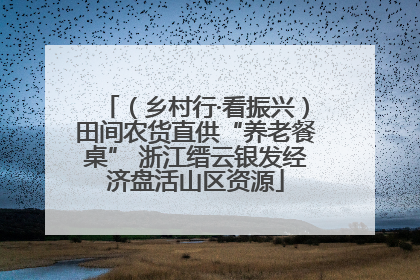 （乡村行·看振兴）田间农货直供“养老餐桌” 浙江缙云银发经济盘活山区资源