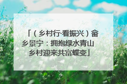 （乡村行·看振兴）畲乡景宁：拥抱绿水青山 乡村迎来共富蝶变