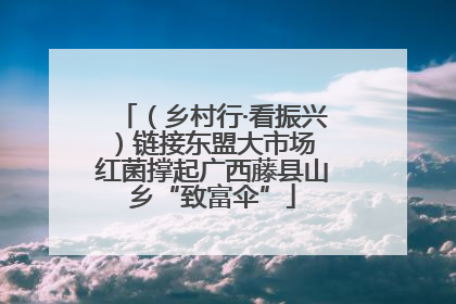 （乡村行·看振兴）链接东盟大市场 红菌撑起广西藤县山乡“致富伞”
