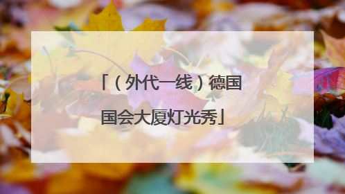 （外代一线）德国国会大厦灯光秀
