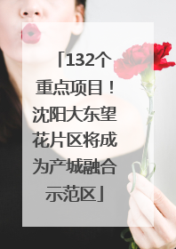 132个重点项目！沈阳大东望花片区将成为产城融合示范区