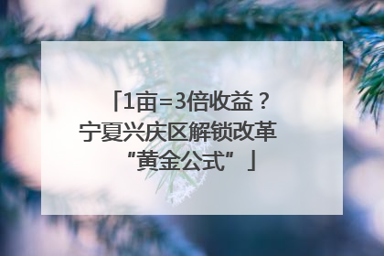 1亩=3倍收益？宁夏兴庆区解锁改革“黄金公式”
