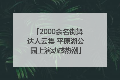 2000余名街舞达人云集 平原湖公园上演动感热潮