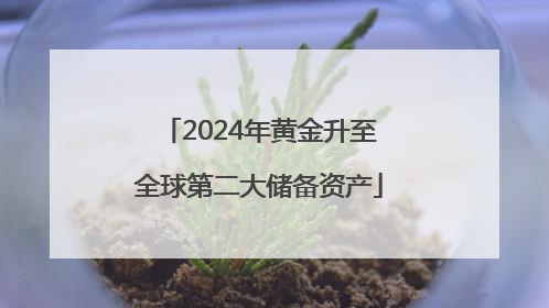 2024年黄金升至全球第二大储备资产