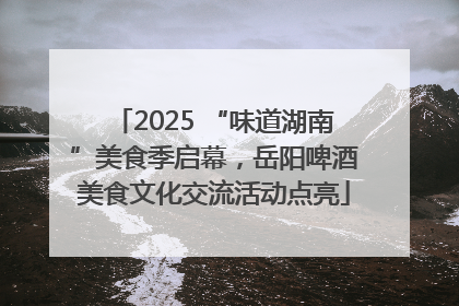 2025 “味道湖南”美食季启幕，岳阳啤酒美食文化交流活动点亮