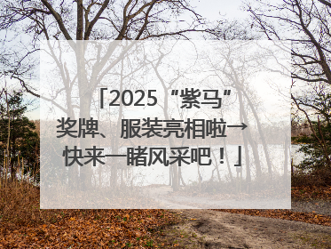 2025“紫马”奖牌、服装亮相啦→快来一睹风采吧！
