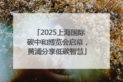 2025上海国际碳中和博览会启幕，黄浦分享低碳智慧