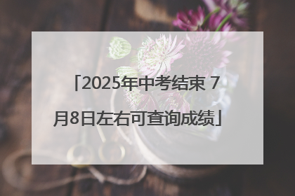 2025年中考结束 7月8日左右可查询成绩