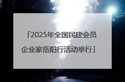 2025年全国民建会员企业家岳阳行活动举行