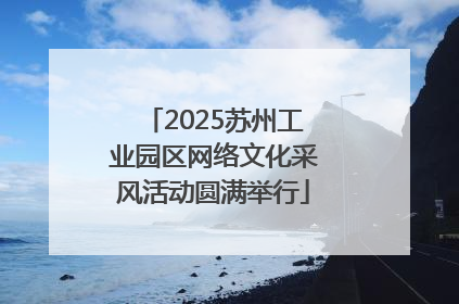 2025苏州工业园区网络文化采风活动圆满举行