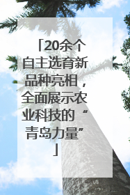 20余个自主选育新品种亮相，全面展示农业科技的“青岛力量”