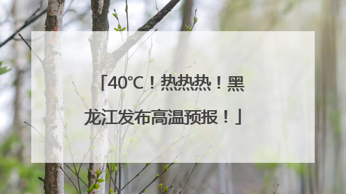 40℃！热热热！黑龙江发布高温预报！