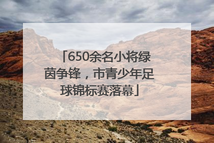 650余名小将绿茵争锋，市青少年足球锦标赛落幕