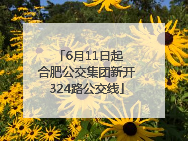 6月11日起 合肥公交集团新开324路公交线