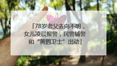 78岁老父去向不明，女儿凌晨报警，民警辅警和“黄鹤卫士”出动