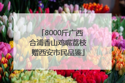 8000斤广西合浦香山鸡嘴荔枝赠西安市民品鉴