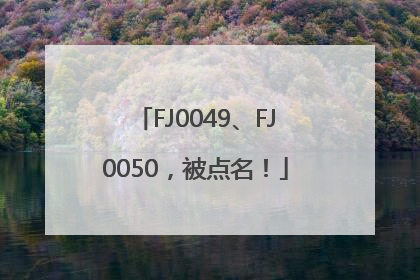 FJ0049、FJ0050，被点名！